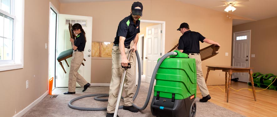 Ruskin , FL cleaning services